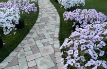 Римский брук кремовый светло-коричневый светло-бежевый 1