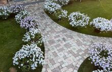 Римский брук кремовый светло-коричневый светло-бежевый 1