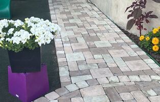 Римский брук кремовый светло-коричневый светло-бежевый 1