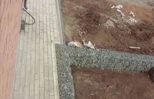 Корабельная доска