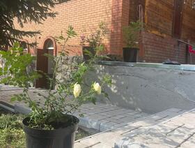 Римский брук светло-бежевый 14