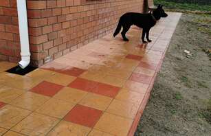 Брусчатка Польская