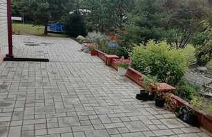 Брусчатка европейская