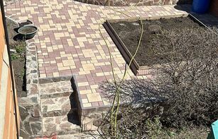 БРУСЧАТКА ЕВРОПЕЙСКАЯ