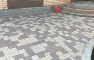 БРУСЧАТКА ЕВРОПЕЙСКАЯ