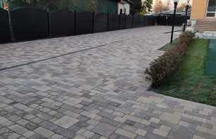 БРУСЧАТКА ЕВРОПЕЙСКАЯ