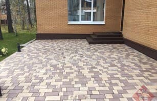 БРУСЧАТКА ЕВРОПЕЙСКАЯ