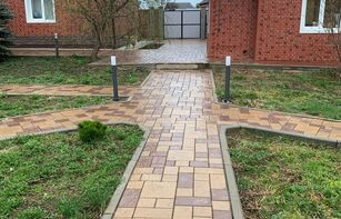 БРУСЧАТКА ЕВРОПЕЙСКАЯ