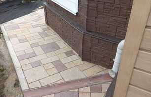 БРУСЧАТКА ЕВРОПЕЙСКАЯ