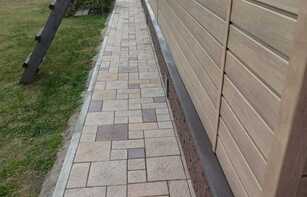 БРУСЧАТКА ЕВРОПЕЙСКАЯ