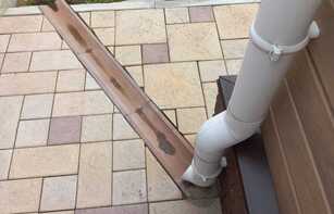 БРУСЧАТКА ЕВРОПЕЙСКАЯ