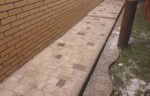 БРУСЧАТКА ЕВРОПЕЙСКАЯ