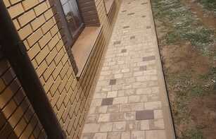 БРУСЧАТКА ЕВРОПЕЙСКАЯ