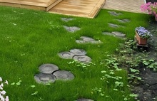 Пенёк тёмный кислотный