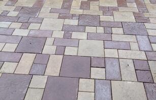 БРУСЧАТКА ЕВРОПЕЙСКАЯ