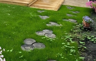 Пенёк тёмный кислотный