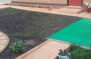 Калифорния дерево