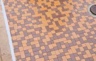 БРУСЧАТКА ЕВРОПЕЙСКАЯ