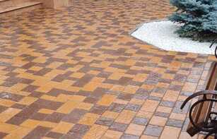 БРУСЧАТКА ЕВРОПЕЙСКАЯ