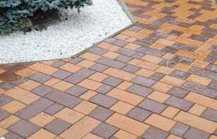 БРУСЧАТКА ЕВРОПЕЙСКАЯ