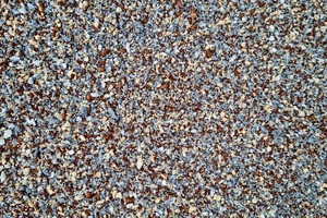 Серо-бежевый близко Серо-бежевый близко